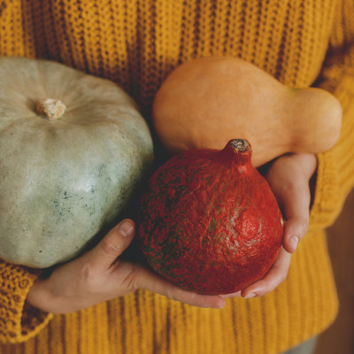 hokkaido-butternut-muskat-kuerbis