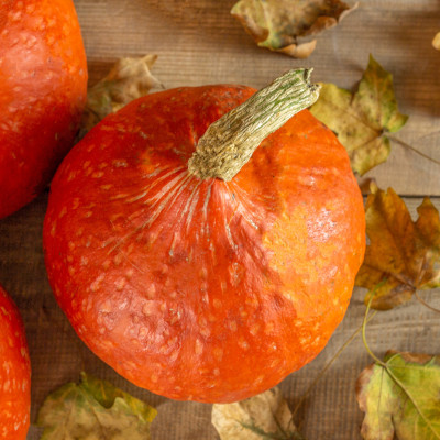 Hokkaido Kürbis einkochen Hokkaido Kürbis ? ideal zum Einkochen